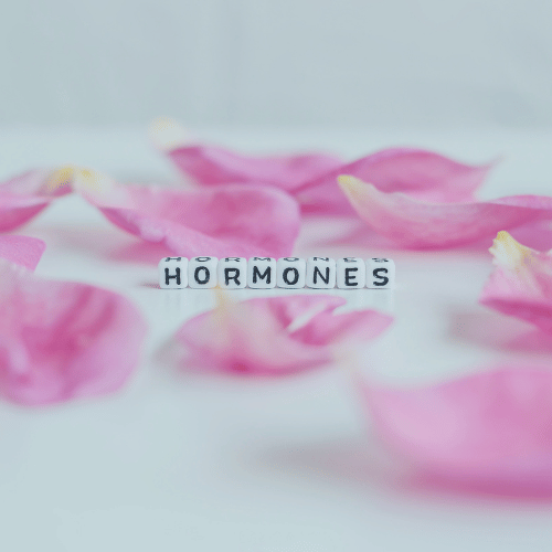 Hormones word cubes on a white background